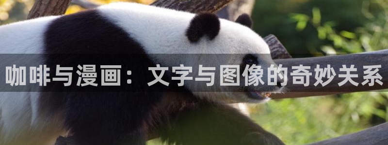 虫虫漫画弹窗入口